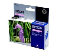 Epson Fotocartridge T048640 licht (C13T048640)